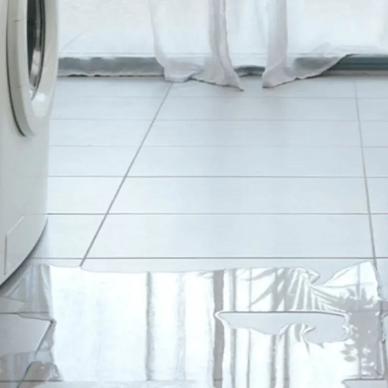 Appliance Leak Cleanup in Buchanan, VA