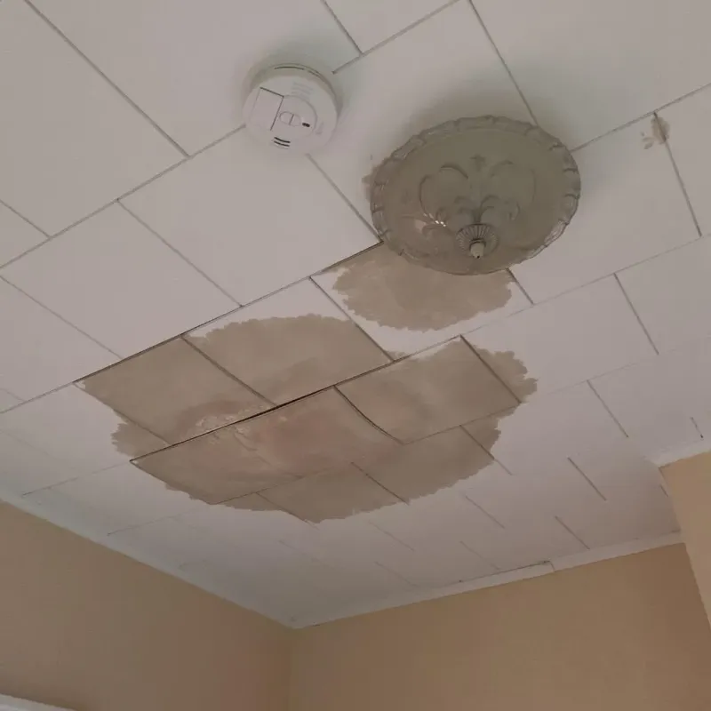 Ceiling Water Damage Repair in Buchanan, VA