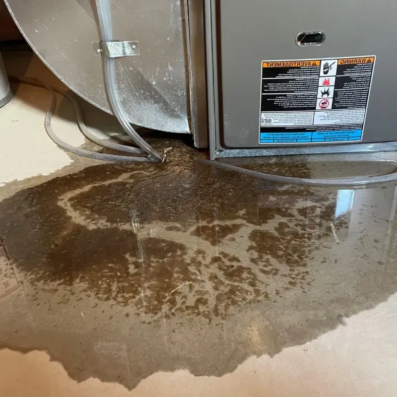 Pipe Burst and Leak Restoration in Buchanan, VA