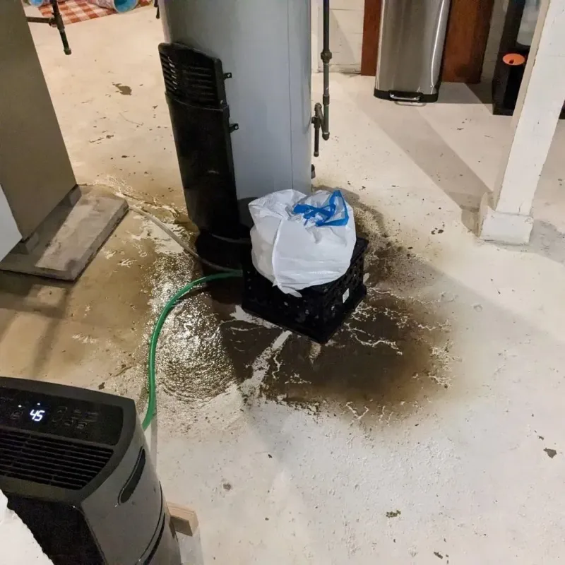 Sewage Backup Cleanup Service in Buchanan, VA